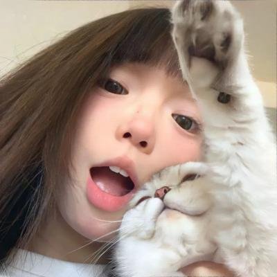 宠物当家